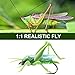 YZD Realistic Fly Grasshopper Series(Small Mix 12pcs)
