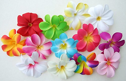 (50) Assorted Hawaiian Plumeria Frangipani Silk Flower Heads - 3" - Artificial Flowers Head Fabric Floral Supplies Wholesale Lot for Wedding Flowers Accessories Make Bridal Hair Clips Headbands Dress