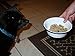 WizPet Homemade Dog Food Supplement Powder ~ Easy to Use Dog Vitamins for Healthy Skin, Coat, HIPS and Joints ~ Add to Any Food ~ for Senior & Adult Dogs