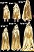 Beautifulfashionlife Hooded Cloak Role Cape Play Costume Shining Silver 150cm