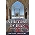 A History of Iran: Empire of the Mind
