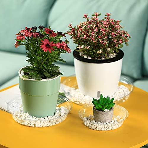 9 Pack Clear Plastic Plant Saucers (12 inch) Drip Trays Plant Plate