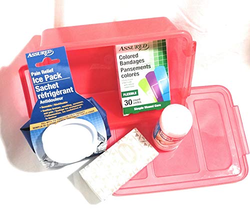 Mini First Aid Booboo Kit Ice Bag Bandage Tissues Box