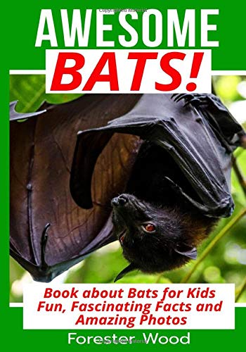 about bats for kids