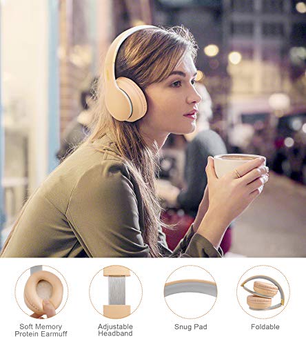 Lobkin Over The Ear Wireless Headphone with Microphone, Hi-Fi Stereo Noice Reduce Earphones for Class, Home Office, Game/TV/PC/Phone Comfortable Foldable Bluetooth Headphones
