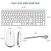 Wireless Keyboard and Mouse, FENIFOX USB Ergonomic Compact Whisper Quiet QWERTY for Mac Imac Windows PC Computer Laptop Tv (Silver and White)