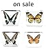 Real Butterfly Specimen Specimens Paperweight Paperweights Collection Display(3x3x0.6