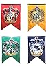 NEW Harry Potter Hogwarts House Wall Banner Party Flag Gryffindor
