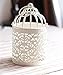 HOMEGOAL Decorative Candle Lanterns,Small Metal Birdcage Candle Holders,Hanging Tealight, Vintage Centerpieces for Wedding & Party