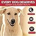 Dog UTI Treatment, Bladder & Kidney Support, Natural Incontinence and Bladder Control for Dogs Reduces Urinary Tract Infections, Flush Out Stones & Improves Dog Kidney Health, 400 Tiny Pills