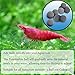 SunGrow Shrimp Balls, Aquarium Water Conditioner Balls, Successful Shedding, Increase Survival Rate, Impart Vibrance, Cool Décor with Wellness Benefits