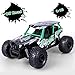 STOTOY RC Truck Remote Car,High Speed Off Road Monster Truck-1/16 Scale 2WD 2.4Ghz Radio Controlled Electric Truggy-Best Gift for Kids, Green