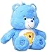Care Bears (w/o DVD Champ Plush, Medium