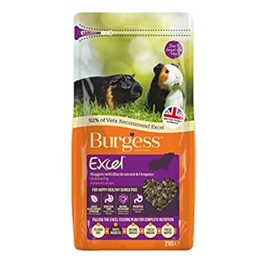 Excel Burgess Guinea Pig Nuggets Blackcurrant and Oregano, 2 kg