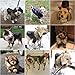 LESYPET Dog Leather Jacket Small Breed, Waterproof Dog Coat Double Layer with Fleece Lined for Puppy Cats, Doggie Jacket Winter Coat in Cold Weather, Black S