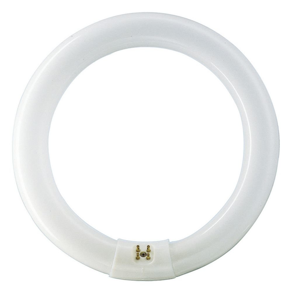 Philips Ampoule G10Q CIRCLINE 32w 4000K /840