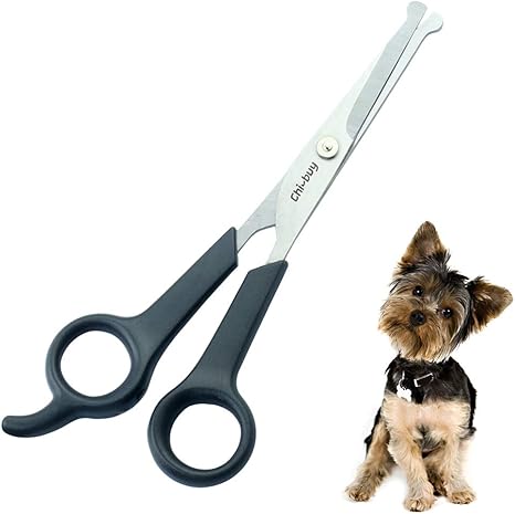 amazon dog grooming shears