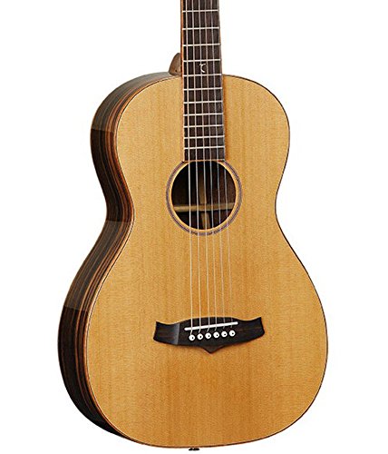 Tanglewood twjp java series dreadnought parlour electro…