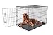 Carlson Pet Products Secure and Foldable Single Door Metal Dog Crate, Intermediate