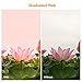 K&F Concept 9pcs 77mm Graduated Orange Blue Grey Red Purple Green Pink Brown Yellow Lens Accessory Filter Kit Graduate Filters for Canon 6D 5D Mark II 5D Mark III for Nikon D610 D700 D800 DSLR Cameras + Lens Cleaning Cloth + Filter Bag Pouch