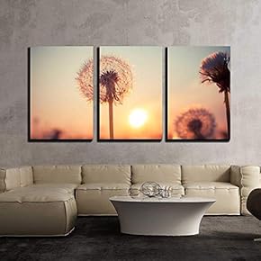 3 Piece Canvas Wall Art - Real Field and Dandelion at Summer Sunset - Modern Home Art Stretched and Framed Ready to Hang - 16"x24"x3 Panels
