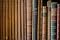 Livro NERVOSOS, LYMPHATICOS E SANGUINEOS: Portuguese and English Edition