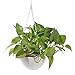 HMANE Hanging Flower Plant Pot, Chain Plastic Basket Planter Holder Patio Home Decoration
