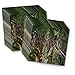 Hunter Tree Camo Party Supplies Set Plates Napkins Cups Tableware Kit for 16