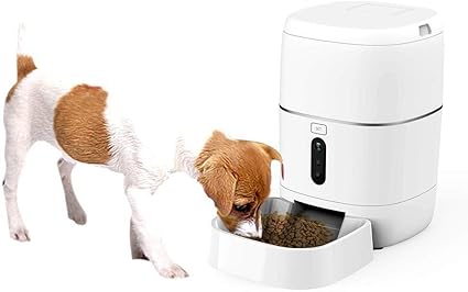 Amazon Com Chitty 6l Large Capacity Pet Feeder Wifi Remote