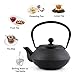 SUSTEAS Tetsubin Cast Iron Teapot with Stainless Steel Infuser Japanese tea pot kettle (29oz)