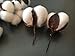 10 Pieces of Natural and Synthetic Blend Cotton bolls (Balls) for Wreaths, Decor, Off Stick Branches Wired raw Look White Cotton Branch Picks