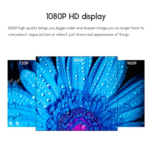 Hidden Camera, FREDI