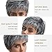 Befunny Synthetic Hair Wigs Short Grey Synthetic Full Wig for Women Fashion Style Hair Wig with Elastic Net Breathable Medium Size
