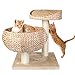 Pedy Cat Tree with Scratching Post, Sisal-Covered Climbing Cat Tower, Cat Activity Tree with Paper Rope and Cat Tree House with Perch, 2 Story Cat Condo Great for Kitten