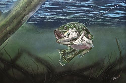 Original Acrylic painting by Jason Girard titled Lured In.