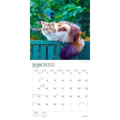 Buy I Love Cats 21 12 X 12 Inch Monthly Square Wall Calendar With Foil Stamped Cover By Stargifts Feline Cat Online In Turkey B08kt8pzdy Buy I Love Cats 21 12 X 12 Inch Monthly Square Wall Calendar With Foil Stamped Cover By Stargifts Feline Cat Online In Turkey B08kt8pzdy