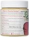 You Fresh Naturals Sugar Cookie Muscle Butter- Protein Cashew Butter, 12 oz