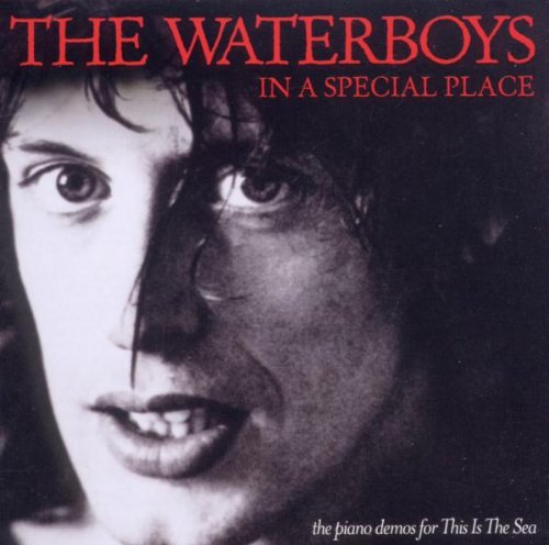 The Waterboys In A Special Place Amazon Com Music
