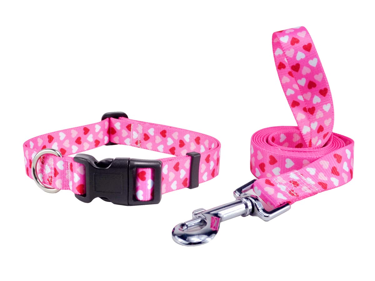 SLZZ Valentine's Day Dog Collar Leash Lead Set/Heavy Duty Adjustable for Small Medium Large Dogs-M