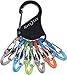 Nite Ize KeyRack Locker, Stainless Steel Carabiner Key Chain with 6 Colorful Locking S-Biners to Hold + Identify Keys, Black primary
