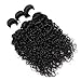 Perstar 8A Grade Uprocessed Brazilian Water Wave virgin hair 4 Bundles Remy Human Hair Natural Color (10 12 14 16, Natural Color)