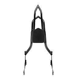 Mofun 28" Height Detachable Sissy Bar Passenger
