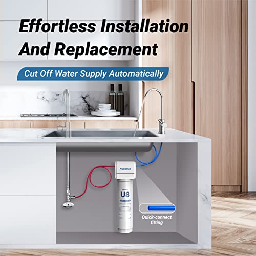 Maxblue U8FC Under Sink Water Filter System, 2 Years High Capacity