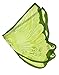 Green Fairy Wings
