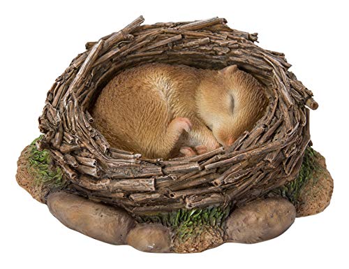 Real Life Woodland Dormouse Asleep in Nest | Resin Home or Garden Decoration | NF-DM09-F