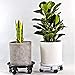 neteasegensen 17.7″ Black Plant Caddy Plant Stand Round Planter Trolly Heavy Duty Plant Tray Flower Pot Mover with Caster Wheels and a Water Container（1Pcs）thumb 1
