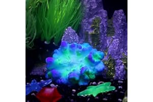 LPFLASAT 1Pc of Fluorescent Coral Decor Fish Tank Decor Accessories Aquarium Plants Coral Reef Decor Fish Tank Decorations White Coral Fake Coral Decorations for Home Turtle Tank Accessories (C-Blue)