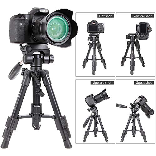 Zomei Q100 Mini Travel Tabletop Tripod Tabletop Tripod with 3-Way Pan/Tilt Head 1/4 inches Quick Release Plate and Bag for DSLR Camera Tripod Carrying Bag (Black)