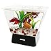 Tetra LED Betta Tank Kit 1 Gallon, Trapezoid aquarium With Base Lighting (24050)