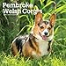 Pembroke Welsh Corgis 2020 Calendar